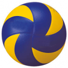 Landesmeisterschaften Volleyball